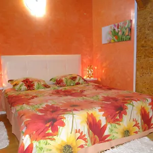 Apartment Orange Flower, Sofia